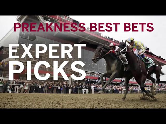 Preakness 2018 Best Bets: Who the experts are picking and why