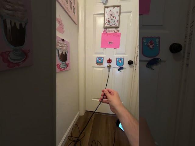The Switch 2 doesn't support fancy webcams, but this USB-C endoscope totally works!