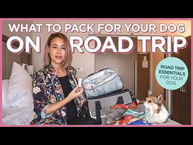 What To Pack For Your Dog on a Road Trip | PetAmi Dog Travel Bag Review