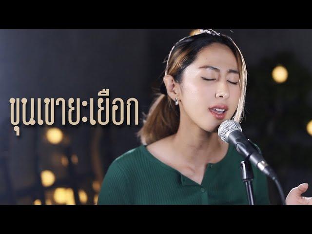 ขุนเขายะเยือก - นิด ลายสือ | cover by แพร