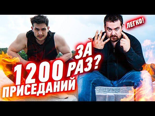 1200 приседаний Давидыча без остановки | это реально?!