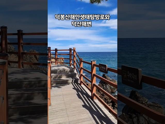 덕봉산해안생태탐방로 #shorts #해안산책로 #덕봉산 #덕산해변 #동해여행 #힐링여행 #korea