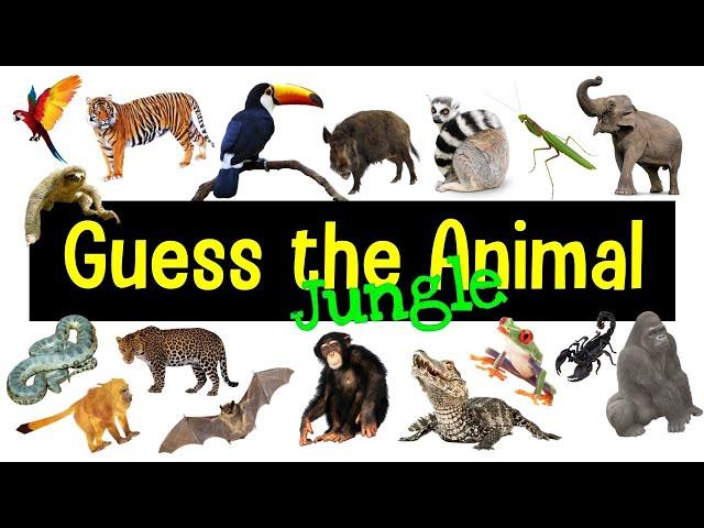 Guess the Animal Sound Game | Jungle Animal Sounds Quiz