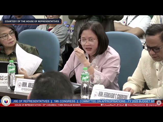 Marcos' office gets free pass during House panel budget deliberations for 3rd year