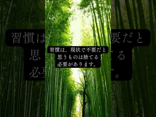 習慣は、現状で不要だと思うものは捨てる必要があります。 #マインドセットを変える #成功者の習慣 #言葉の力 #マインドセットを変える #ポジティブ思想 #パレート法則 #自己成長 #信頼感