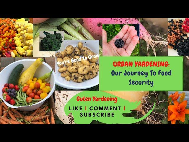 Our Journey to Food Security (Zone 5): 100% Organic Urban Gardening