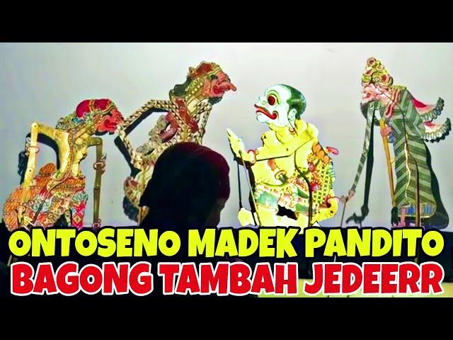 Bagong jedeerr Ontoseno dadi pandito kang aran gumbolo geni