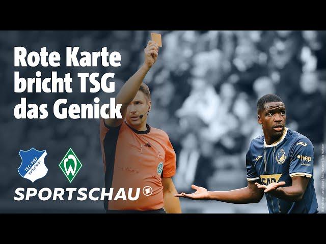 TSG Hoffenheim – SV Werder Bremen Highlights Bundesliga, 5. Spieltag | Sportschau Fußball