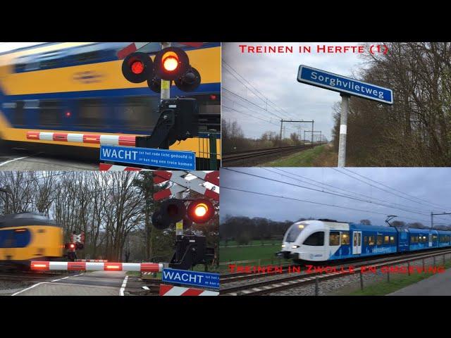 TREINEN IN ZWOLLE EN OMGEVING | Treinen in Herfte, Zwolle & Dalfsen | Part 1/2 | 28-3-19 | 4K