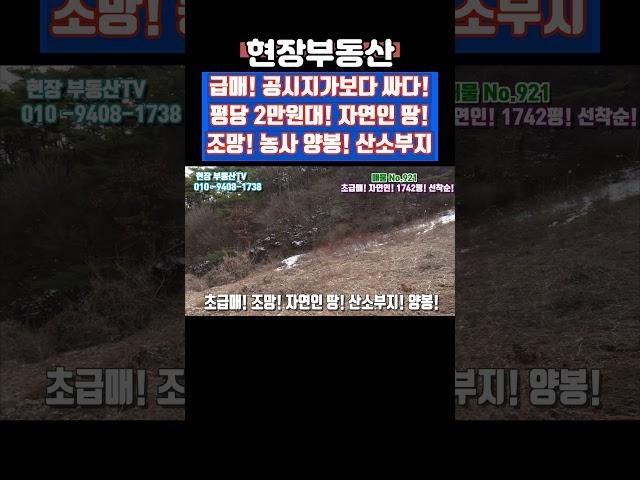 공시지가보다 싸다 평당2만원대 자연인 땅 양봉 산소부지 1742평 #급매 #싼땅 #산소부지 #자연인 #농사 #만종리