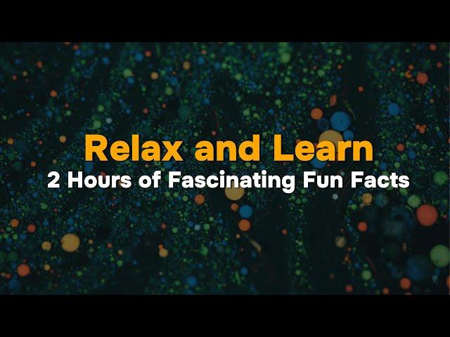 Relax and Learn: 2 Hours of Fascinating Fun Facts | 4K Ultra HD