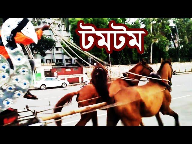 ঢাকার ঐতিহ্য টমটম গাড়ি | Tomtom in Dhaka | life 2711