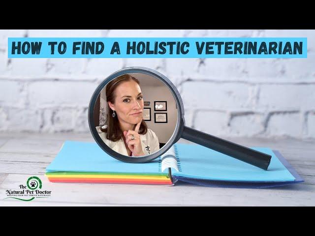 How To Find A Holistic Veterinarian with Dr. Katie Woodley