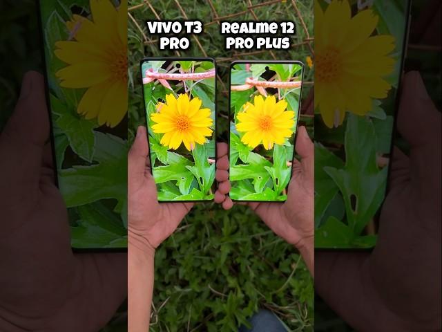 Vivo T3 Pro vs Realme 12 Pro Plus Camera Test #vivot3pro #realme12proplus #comparison #shorts