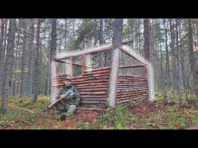 Строю убежище в тайге - Выживание в лесу.