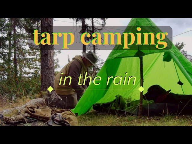 Tarp camping IN THE RAIN! MRE, campfire cooking wildlife