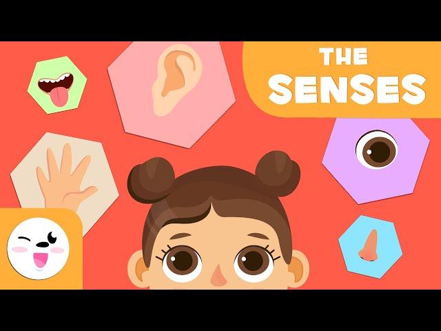 The Five Senses for Kids - Preschool Education