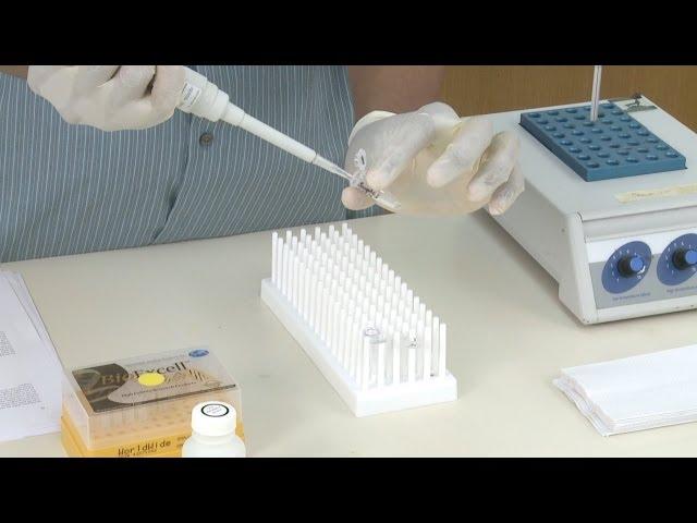 DNA Isolation Step 4: Cleaning & Eluting the DNA