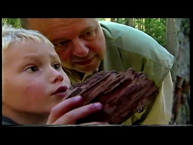 "THE  FOREST IN OUR HEART" - documentary (2001)