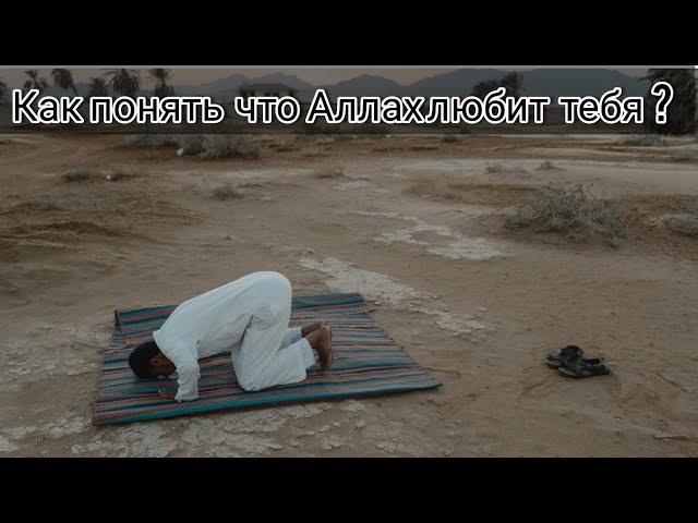 Кого любит Аллах согласно корану | Как понять кого любит Аллах
