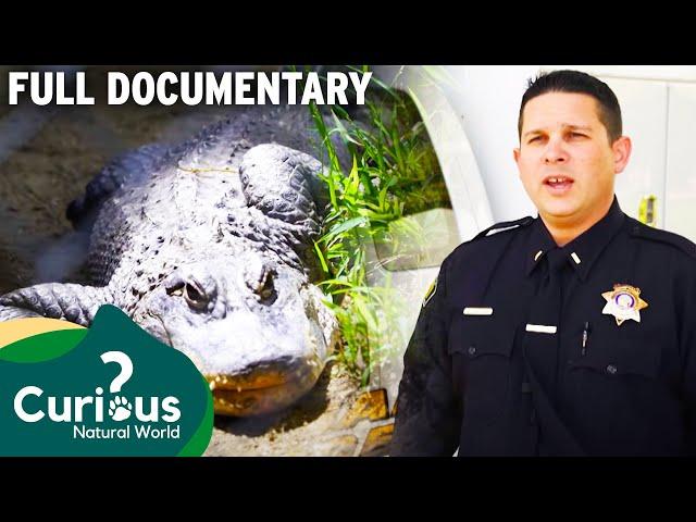 Unbelievable Public Tragedies With Wild Animals & Exotic Pets | Full Documentary | Predator Pets