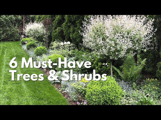 6 Must-Have Small Trees and Shrubs for Your Garden - My Top Picks