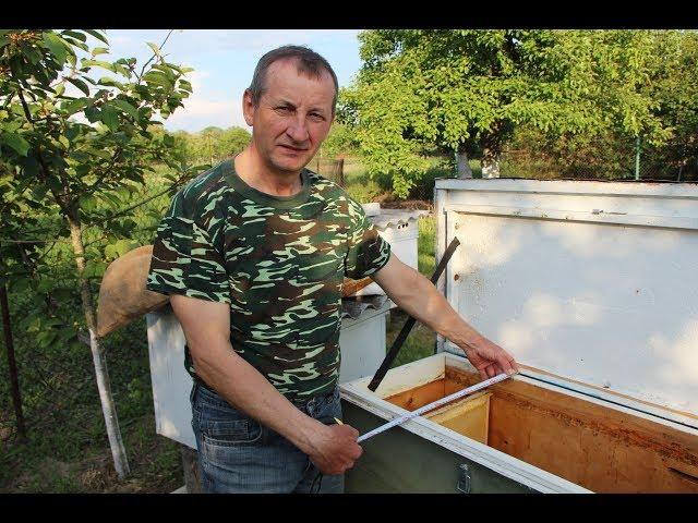 Ukrainian hive | Overview of the hive lounger on a narrow-high frame