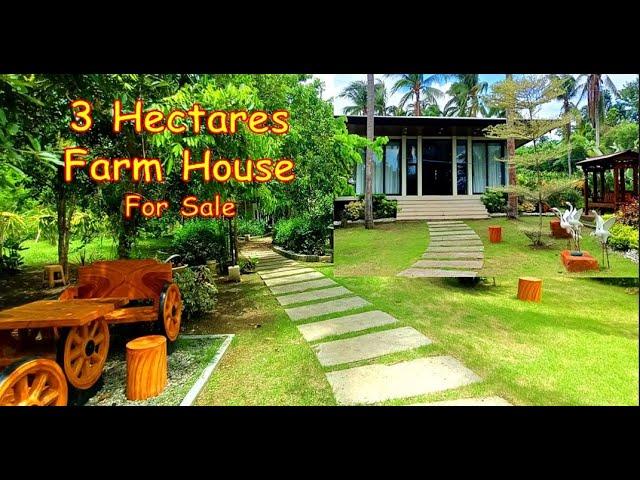 3 HECTARES FARM HOUSE with RIVER (Prop#174) FOR SALE