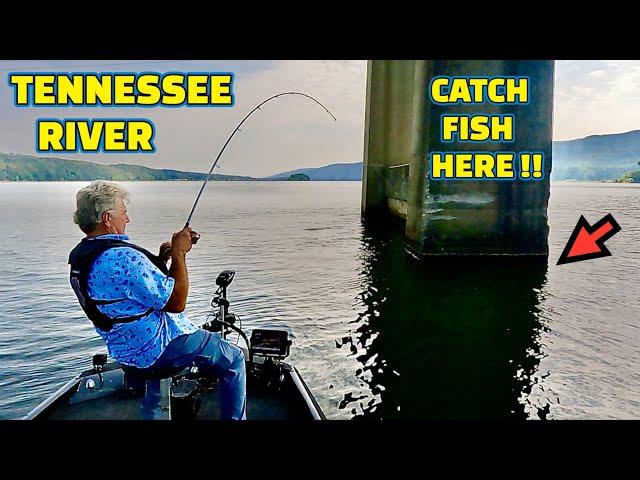 FISHING the TENNESSEE RIVER catching FISH using LIVE MINNOWS as BAIT !!