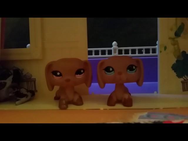 LPS : Titanium - Music Video ( For LPSToriandTeri )