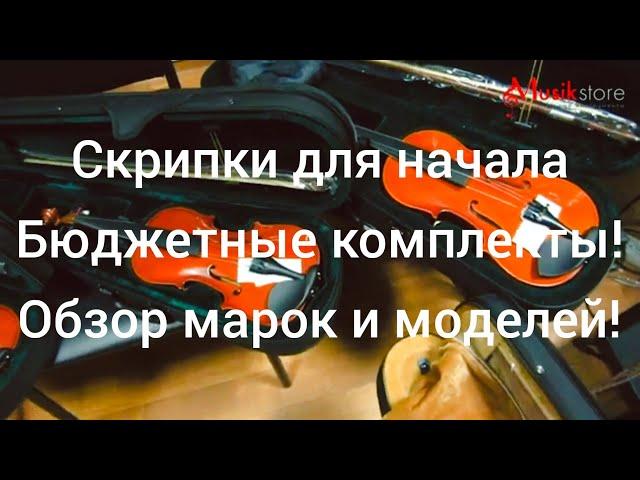 Скрипки. Где купить скрипку и как выбрать для начала? Обзор моделей от Мьюзик-Стор | musik-store.ru