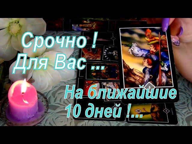 ВАЖНЫЙ СОВЕТ ОТ КАРТ НА БЛИЖАЙШИЕ 10 ДНЕЙ!  Гадание Таро