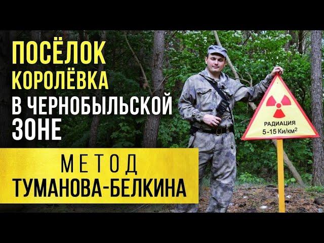  Посёлок Королёвка в Чернобыльской зоне. Метод Туманова-Белкина.