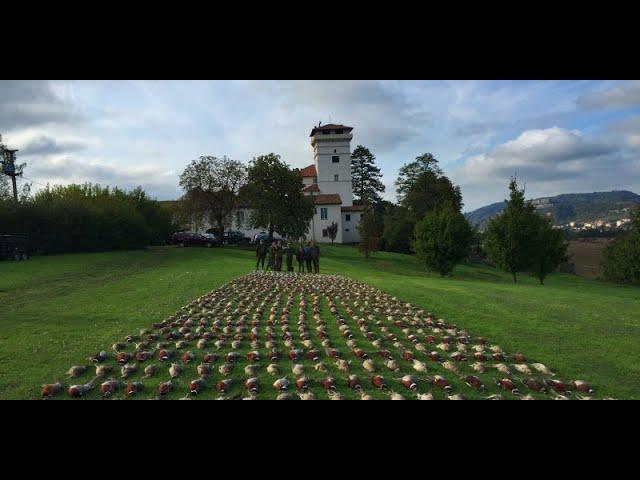 Driven Partridge & Pheasant Shooting at La Centuriona – Gavi Piedmont – Italy