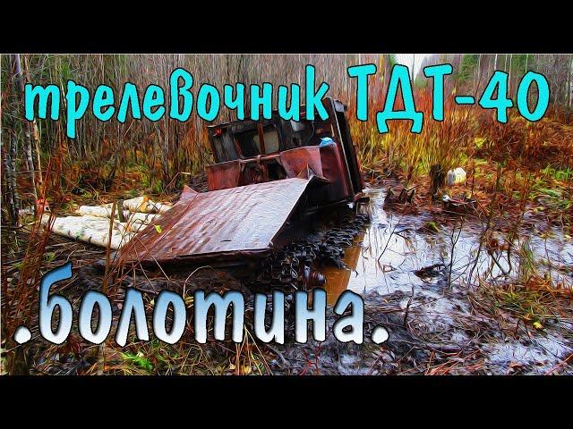 Трелевочник ТДТ-40. Вызволение из болотины.