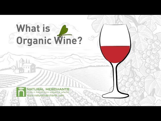 What is Organic Wine? - Natural Merchants Organic Wine