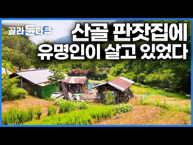 산삼캐다 발견한 다 무너져가는 오두막에 방송에서 봤던 유명인이 살고 있었다│라면만 17년째 먹는 할아버지 이야기│한국기행│#골라듄다큐