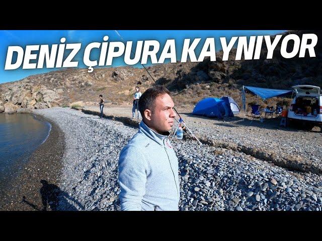 Karaburun'da Issız Kamp ve Balık Avı Meraları! - 4 Koy 4 Macera