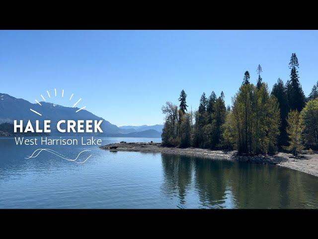 Exploring Hale Creek: Easy Route, Perfect Campsite | April 2024