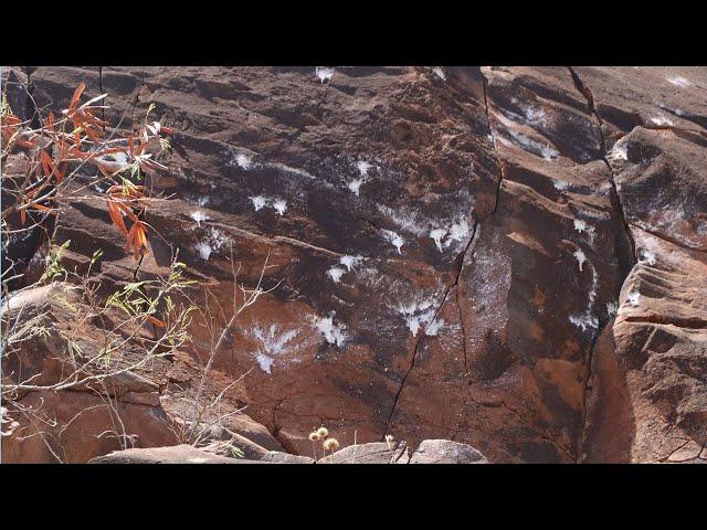 Historic Olowalu petroglyphs on Maui defaced with paintballs