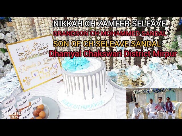 NIKKAH CH ZAMEER SELEAVE GRANDSON CH MUHAMMAD SANDAL & SON OF CH SELEAVE SANDAL DAUGHTER OF......