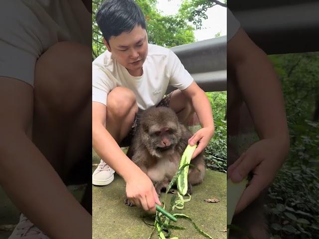 Xingxing: Cucumbers every single day I'm so tired of them, there's no flavor left in my mouth!