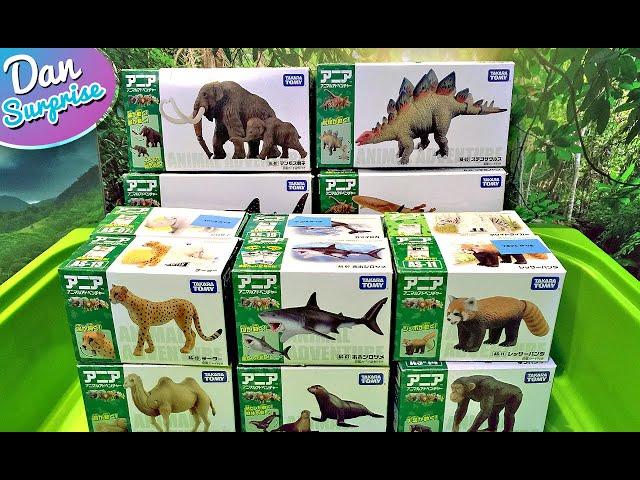 Takara Tomy Dinosaurs and Animals Collection