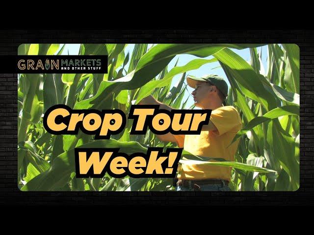 Crop Tour Week! + Joe's 2023 Corn Sales