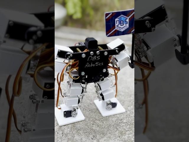 Smallest humanoid robot - 141 mm (5.55 in) made by DBS Robotics 