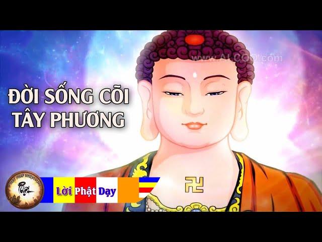 Kể truyện đêm khuya - Đời Sống Cõi Tây Phương Cực Lạc ( phần 2 ) | Phật Pháp Nhiệm Màu