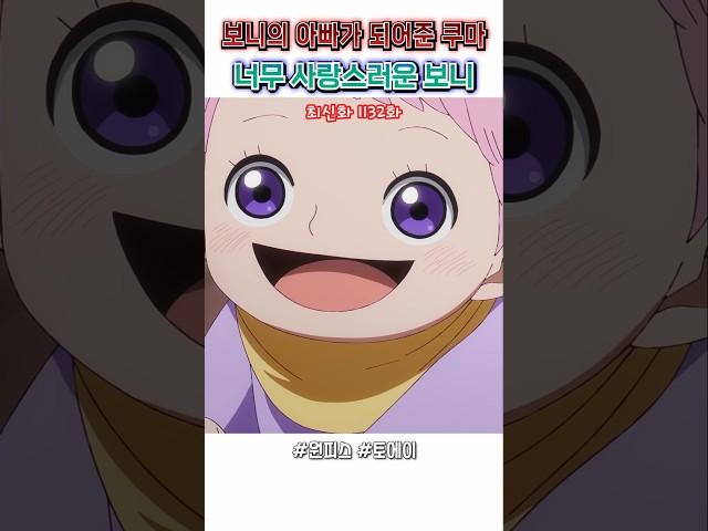  너무 귀여운 아기 보니  그리고 기꺼이 보니의 아빠가 되어준 쿠마 / 원피스 명장면