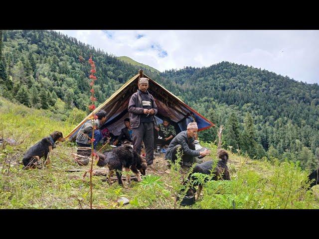 This is MountainVillage Lifestyle  || Most Peaceful & Relaxing Mountain Village Life || Rural Life