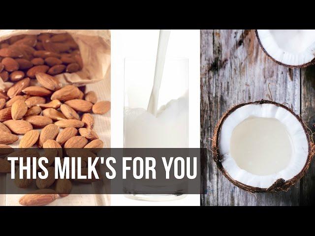 Ketosis Dairy Alternatives: Best Nut Milks- Thomas DeLauer