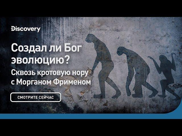 Создал ли Бог эволюцию? | Сквозь кротовую нору с Морганом Фрименом | Discovery